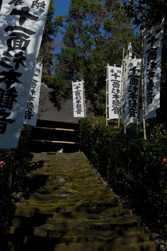 古刹・杉本寺の苔石段…