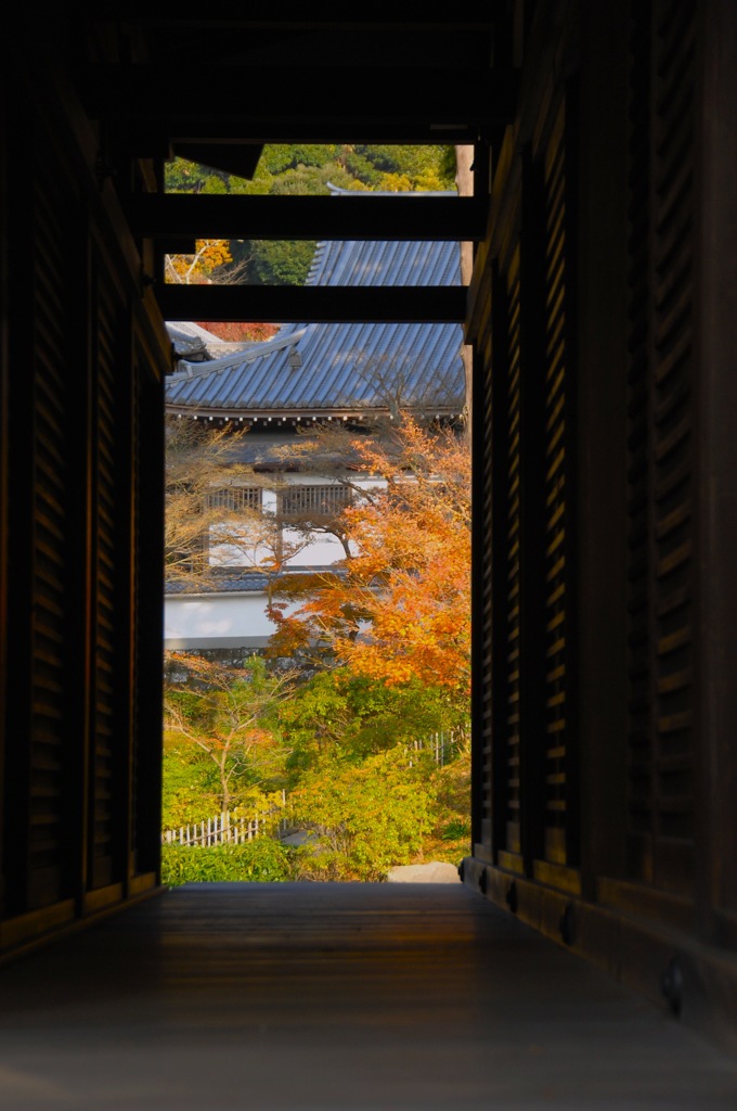 円覚寺の秋模様…２