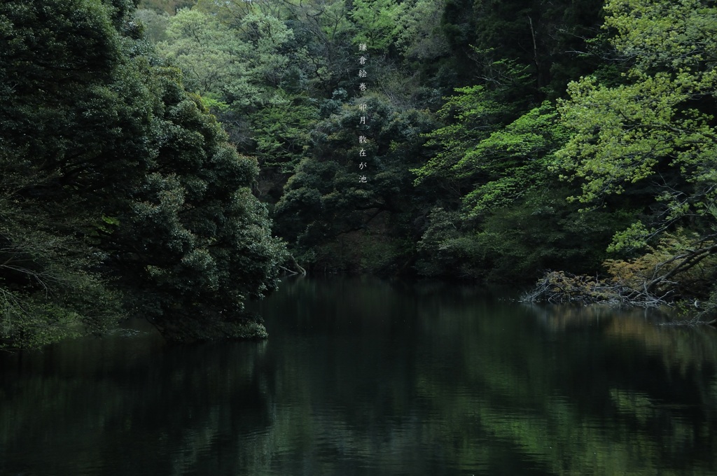 鎌倉絵巻…卯月 鎌倉湖