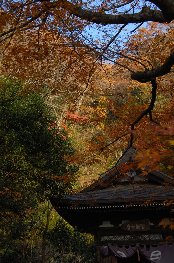 円覚寺の秋模様…４