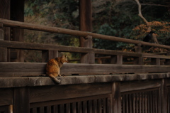 本堂の主１…