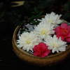 古都の花手水…５