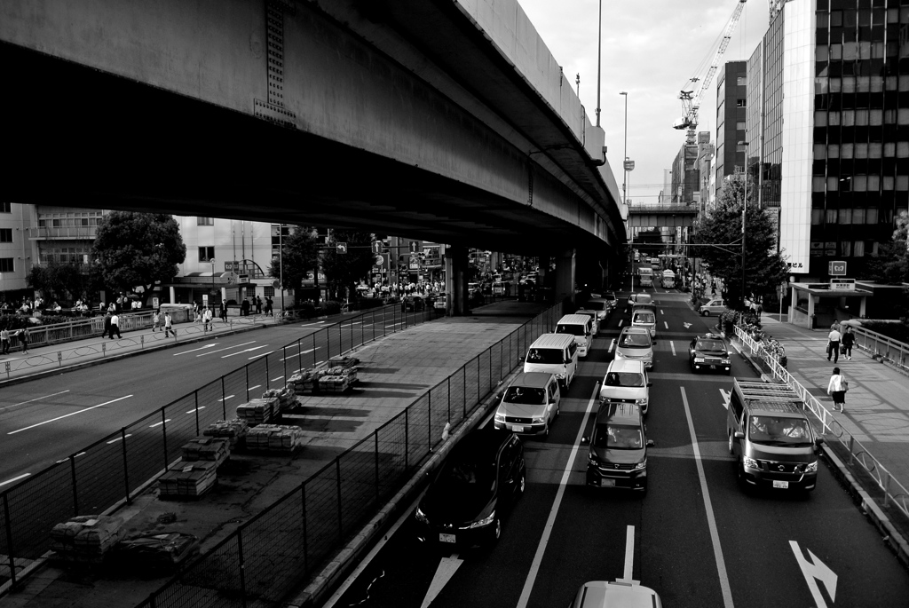 東京の脈拍…