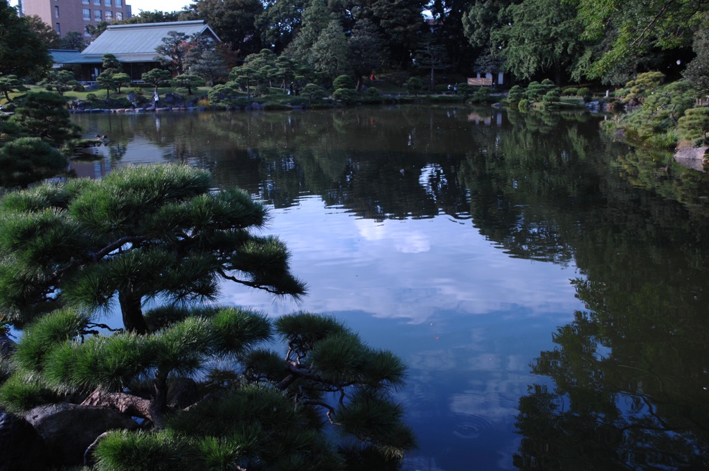 鏡面の池模様…