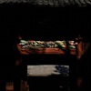 春陽の瞬き…１