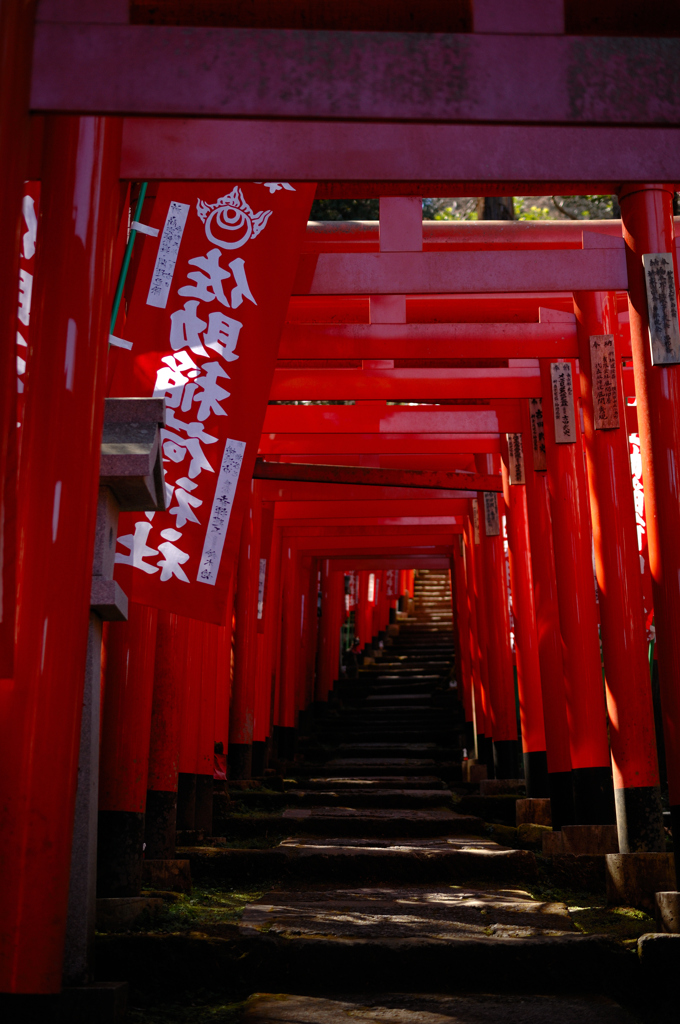 祈念のお狐…１