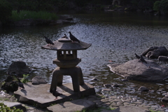 旧安田庭園の灯籠…