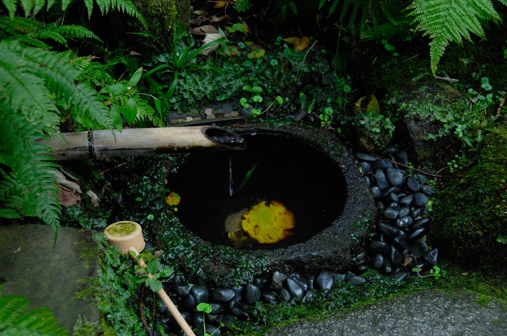 瑞泉寺の秋模様…３