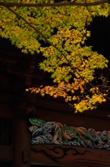 秋色の妙本寺…１