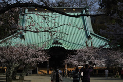 鎌倉・光明寺の春１