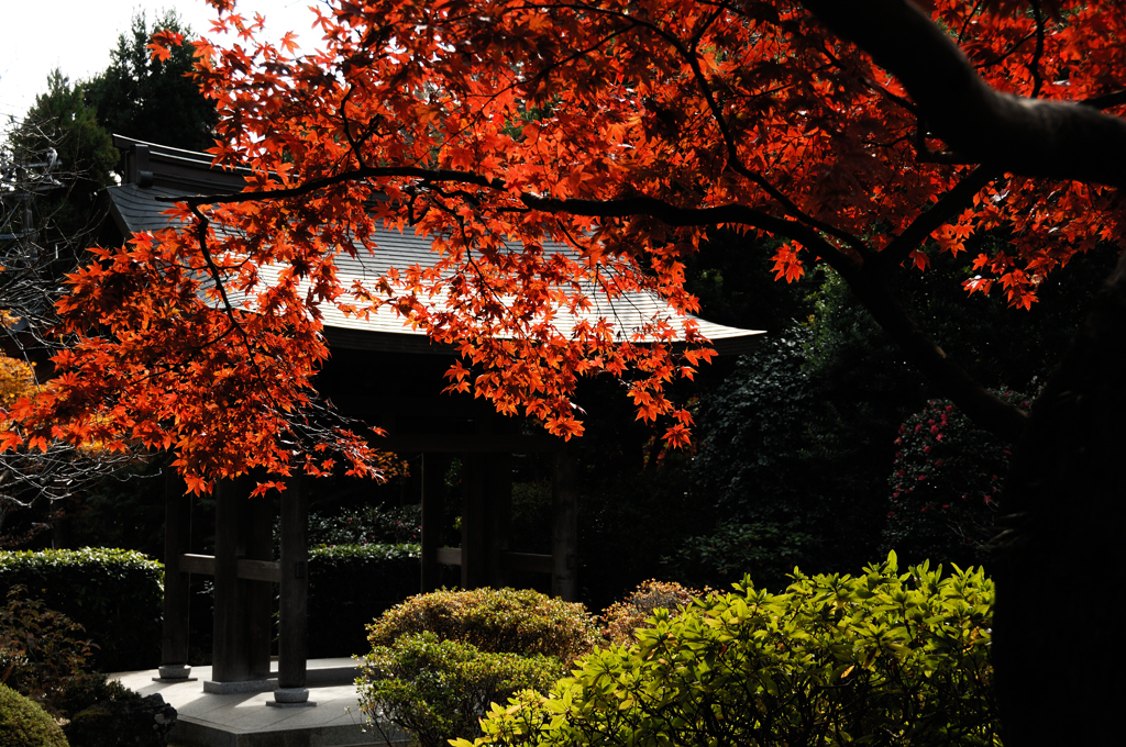古刹の紅景…２