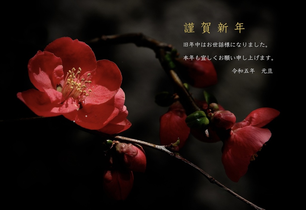 新年のご挨拶…