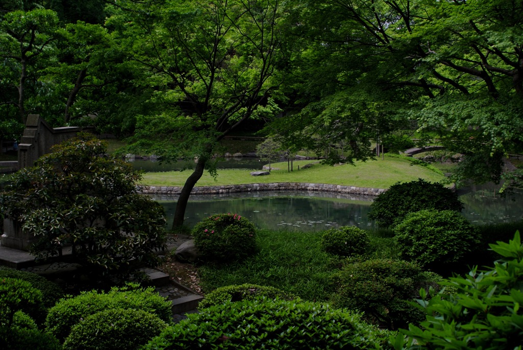 後楽園・大泉水の池３…