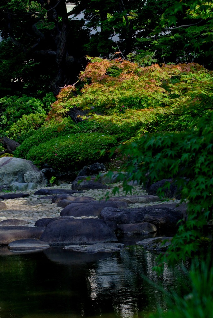 旧古河庭園・日差し…