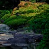旧古河庭園・日差し…