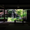 五山の緑光…