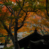 禅寺の錦屏風…３