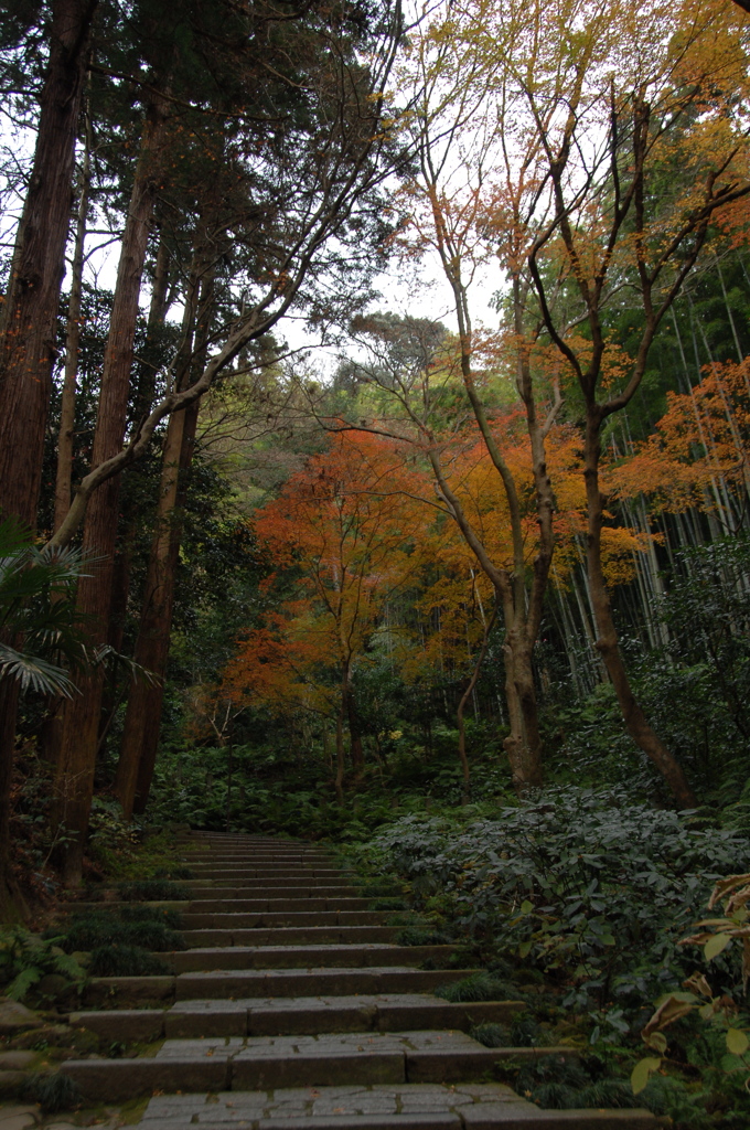 穏冬の古刹…瑞泉寺１