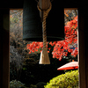 禅寺の紅景色…４