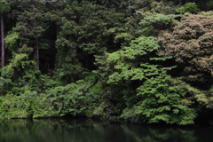 散在ヶ池（鎌倉湖）３