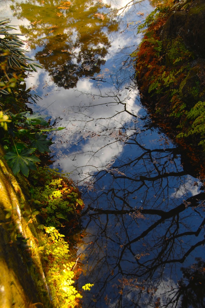 古刹池の青空…２
