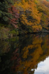 晩秋の鎌倉湖…３