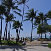 Waikiki Snapshot…15