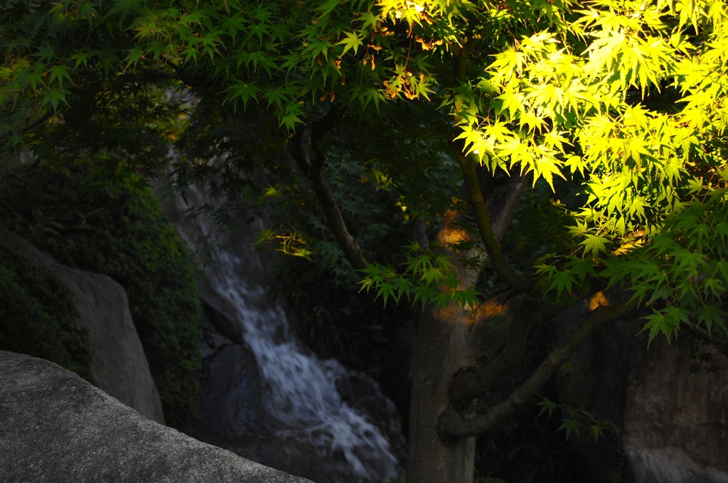 目白庭園・秋日和…