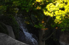目白庭園・秋日和…