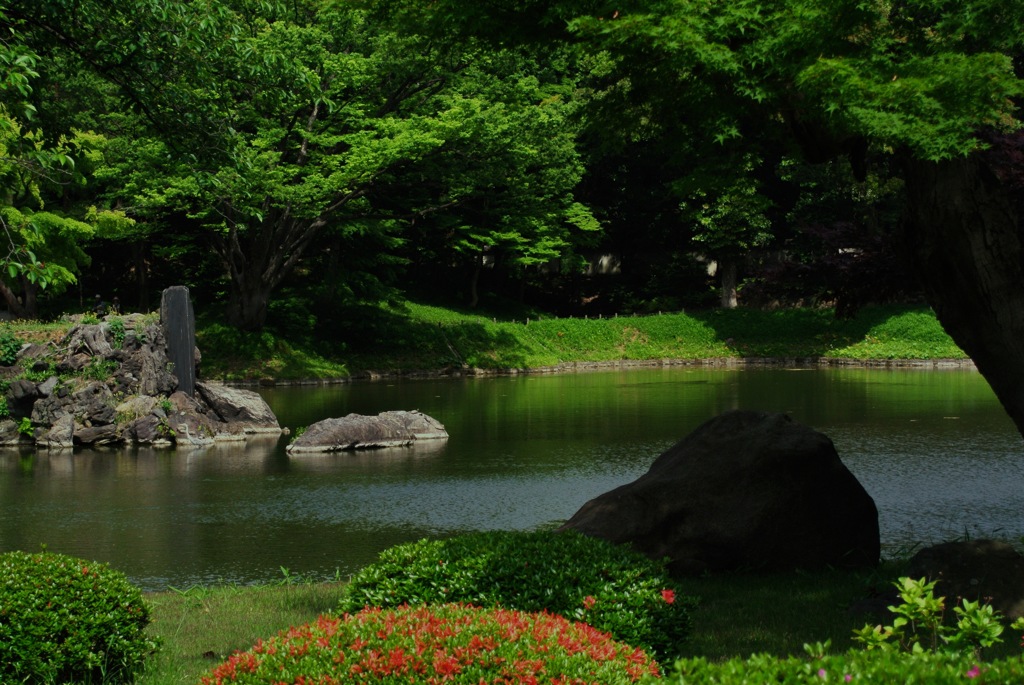 後楽園・大泉水の池２…
