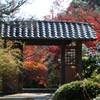禅寺の紅景色…１