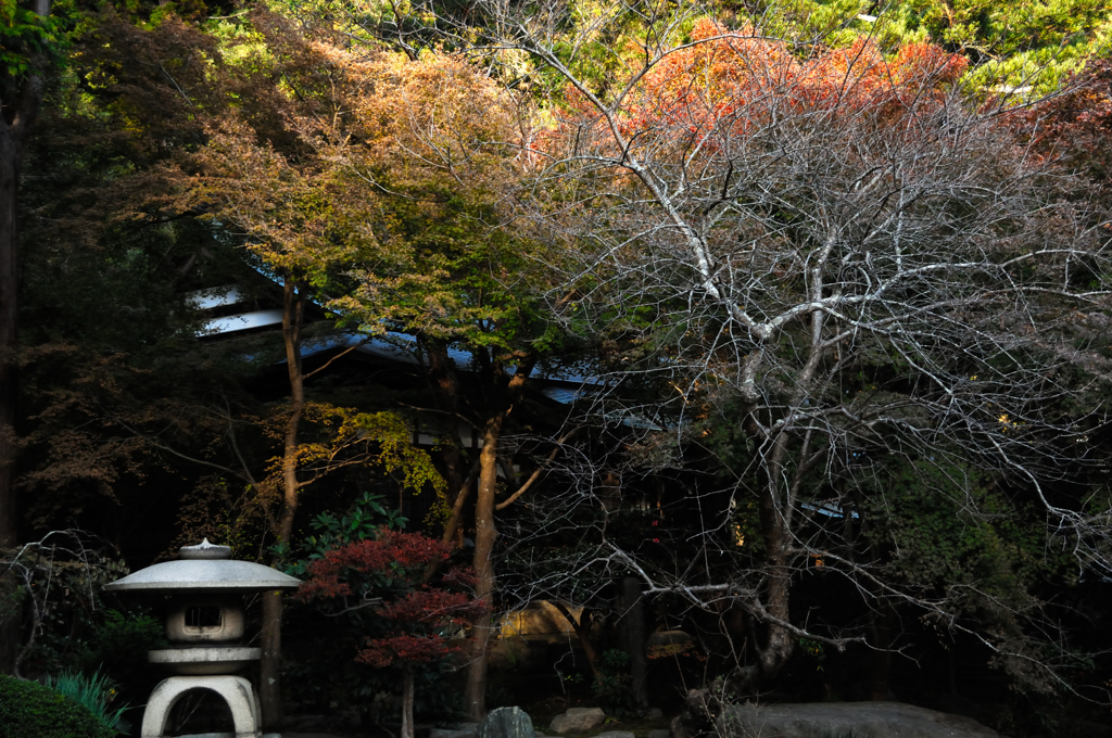 古都の紅染待ち…