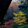 日蓮の紅景色…４
