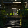 古刹の春息…１