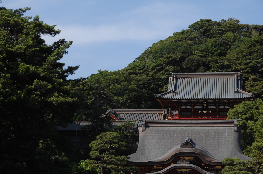 緑中の八幡宮…１