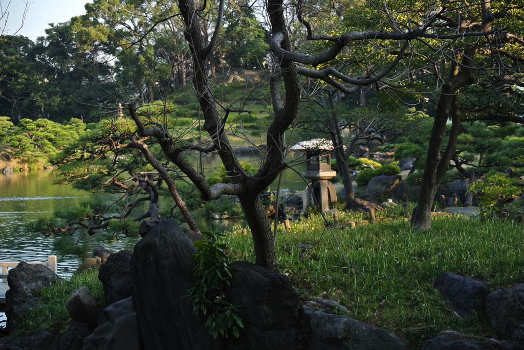 清澄庭園の春１