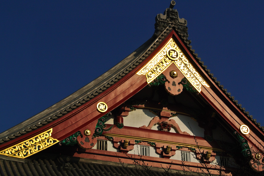 浅草寺の稜線