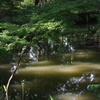 六義園・大泉水１…