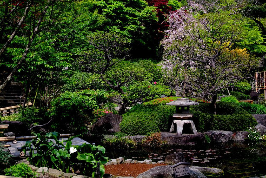 鎌倉・長谷寺２
