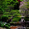 鎌倉・長谷寺２
