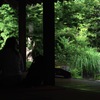 鎌倉 浄妙寺・ペア…