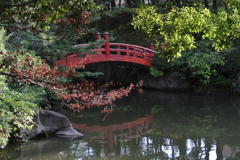 旧安田庭園の池…