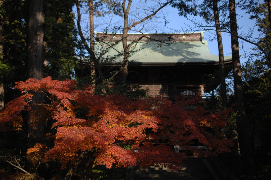 円覚寺の秋模様…１