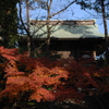 円覚寺の秋模様…１