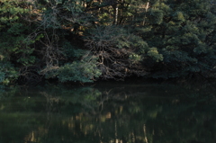 鏡面の鎌倉湖…１