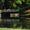 春の池３