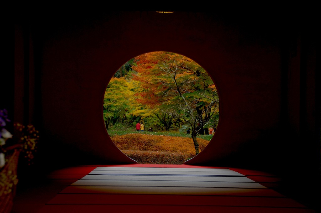 明月院・紅円窓…
