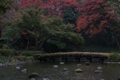 後楽園・雨中の秋２…