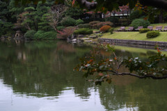 旧安田庭園・池２…