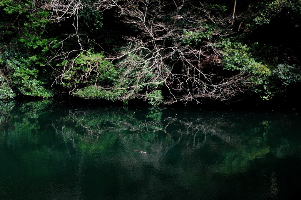 鎌倉春絵巻…深淵の湖